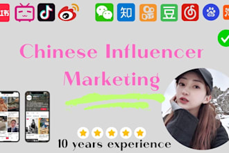do chinese social media influencer marketing
