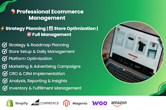 manage and scale your shopify store to increase revenue