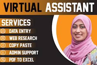 be your virtual assistant for data entry, copy paste, data mining, web research