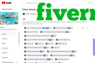 set up SEO in your youtube video to increase views