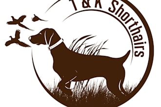 create a professional and unique logo design