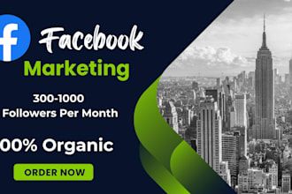 do facebook page promotion and marketing for organic growth
