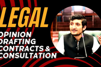 provide legal opinion, drafting, contracts and consultation