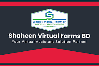 be an excel data capture virtual assistant