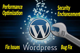 fix wordpress issues, errors and bugs
