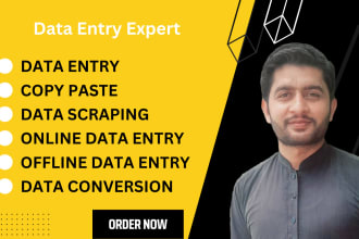 be your reliable virtual assistant for admin and data entry tasks