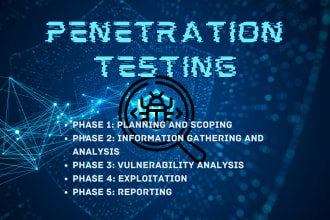 do penetration testing of your website with remediation
