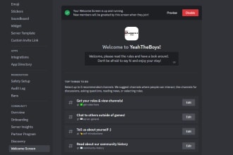 setup a custom discord server professionally