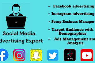 setup successful facebook, instagram and tiktok ad campaigns for your business
