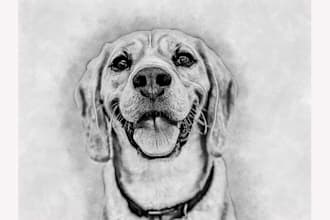 turn your pet into a realistic pencil drawing