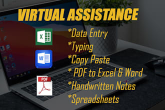 do data entry, web research, typing and copy paste