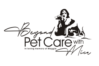 design awesome dog training, pet care logo with fast delivery