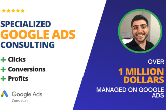 do google ads consultation with you