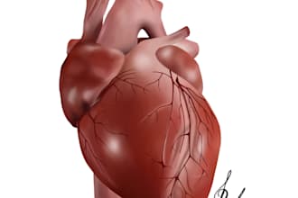 creat medical and anatomical scientific illustration for you