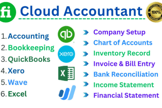 do accounting and bookkeeping in quickbooks, xero, wave,  and excel
