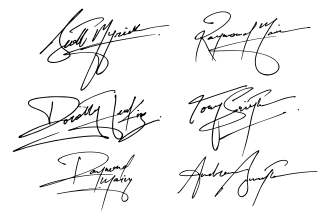 do real handwritten autograph and signature logo design