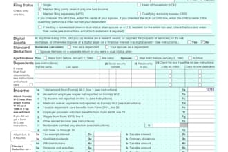 help to prepare form 1040  1065 and 1120 USA tax return