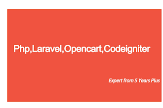 bug fixing or customization in laravel, PHP