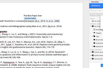 organize reference list and citations in endnotes apa