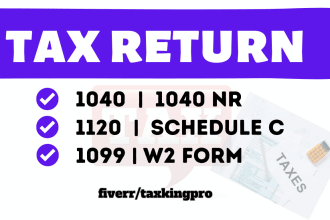 prepare income tax return for individual and business 1040, 1120 and 1065