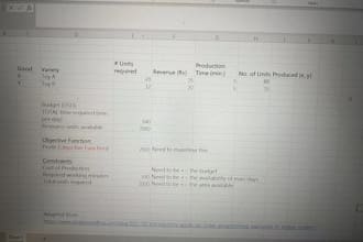 solve problems about financial modeling and optimisation with excel