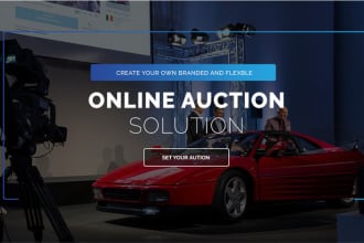 develop auction website, multivendor website, wordpress website