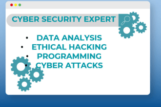 provide expert cyber security audit services