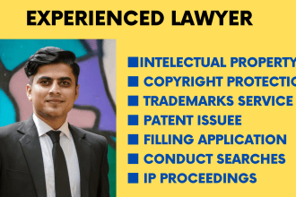 your lawyer in intellectual property, trademark, copyrights and patent disputes