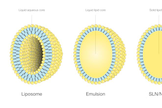 create scientific illustrations, diagrams and graphical abstracts