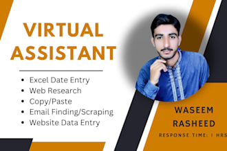 be you virtual assistant for efficient excel data entry