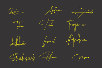 sophisticated handwritten and digital signature, stylish autograph, cursive logo