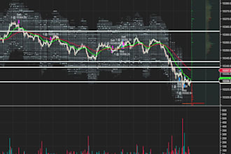 custom code ninja trader 8 strategy