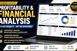 perform financial analysis and business reporting