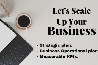 create you a strategic business plan and operational plan