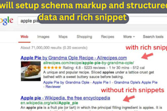 setup schema markup and structured data and rich snippet