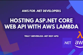 do API integration, development or fixing