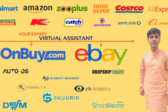 do amazon to ebay dropshipping onbuy SEO listings