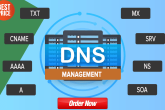 add, fix or update dns records