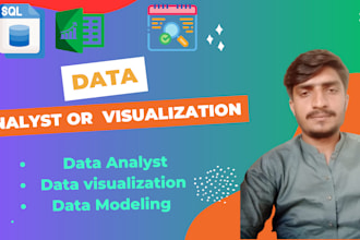do data analysis and report in excel or sql