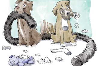 illustrate your pet digitally