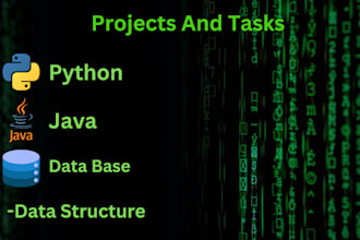 do java, python, and dsa programming projects and tasks for you