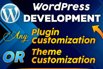 develop custom plugin or website design