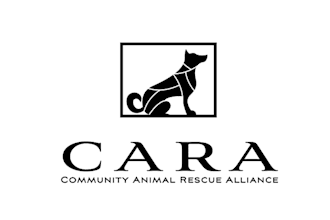 create a best animal and pet logo design
