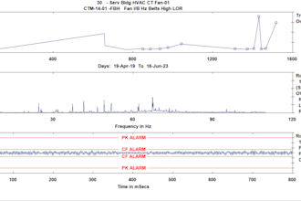 are you looking to master the art of vibration analysis and fault diagnostics