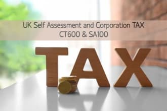 file your self assessment tax, vat ct600 and sa100