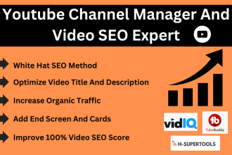 be your certified youtube channel manager and video SEO expert