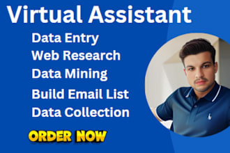 be your virtual assistant for data entry, data mining, web research, copy paste