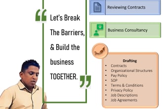 experienced lawyer and business consultant