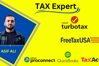 be professional in US tax preparation turbo tax pro connect pro series tax wise
