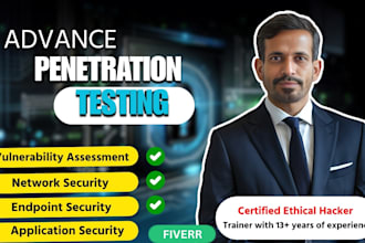 conduct advanced pentest and vulnerability assessment for your web application